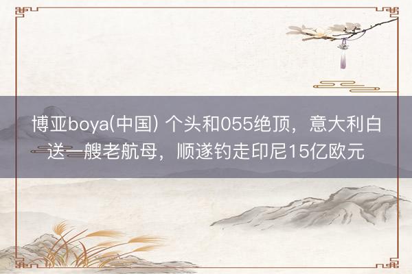 博亚boya(中国) 个头和055绝顶，意大利白送一艘老航母，顺遂钓走印尼15亿欧元