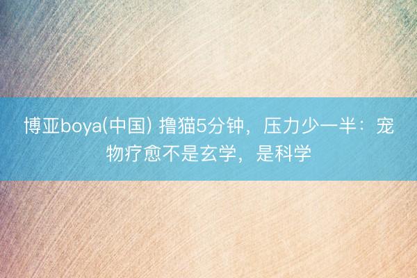 博亚boya(中国) 撸猫5分钟，压力少一半：宠物疗愈不是玄学，是科学