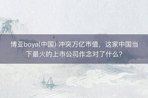 博亚boya(中国) 冲突万亿市值，这家中国当下最火的上市公司作念对了什么？