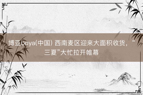 博亚boya(中国) 西南麦区迎来大面积收货，“三夏”大忙拉开帷幕