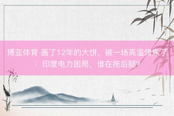 博亚体育 画了12年的大饼，被一场高温烤焦了：印度电力困局，谁在拖后腿？