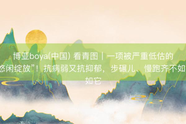 博亚boya(中国) 看青图｜一项被严重低估的“悠闲绽放”！抗病弱又抗抑郁，<a href=