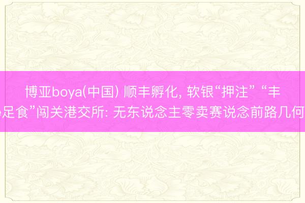 博亚boya(中国) 顺丰孵化， 软银“押注” “丰e足食”闯关港交所: 无东说念主零卖赛说念前路几何?