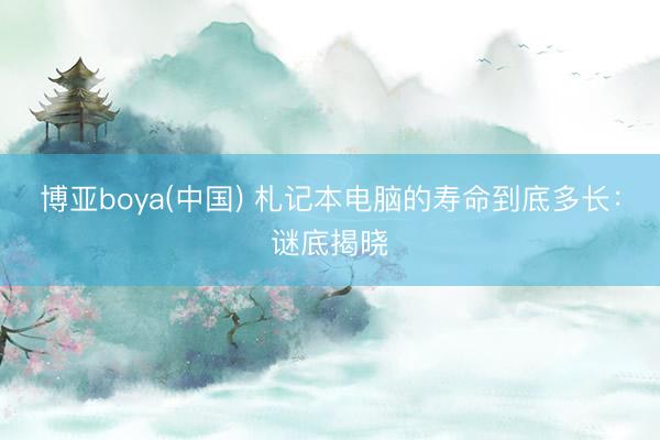博亚boya(中国) 札记本电脑的寿命到底多长：谜底揭晓